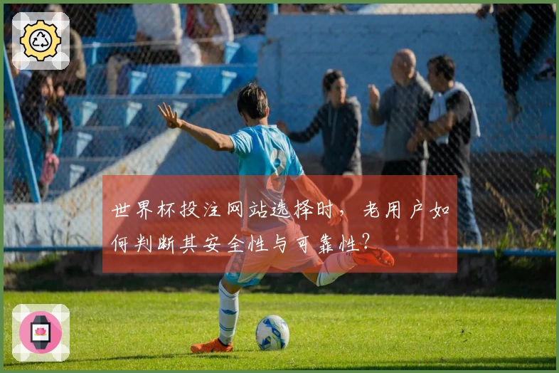 世界杯投注网站选择时，老用户如何判断其安全性与可靠性？