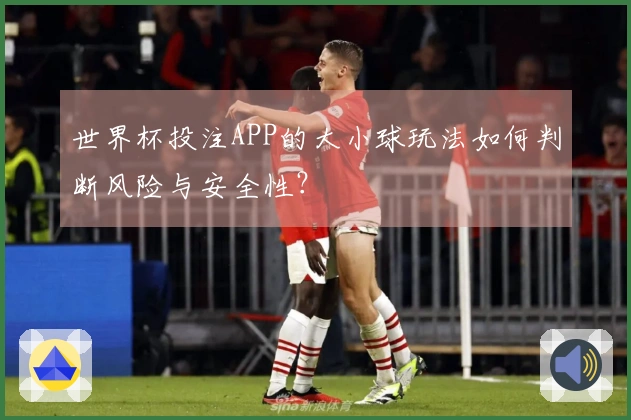 世界杯投注APP的大小球玩法如何判断风险与安全性？