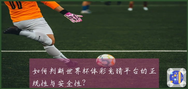 如何判断世界杯体彩竞猜平台的正规性与安全性?