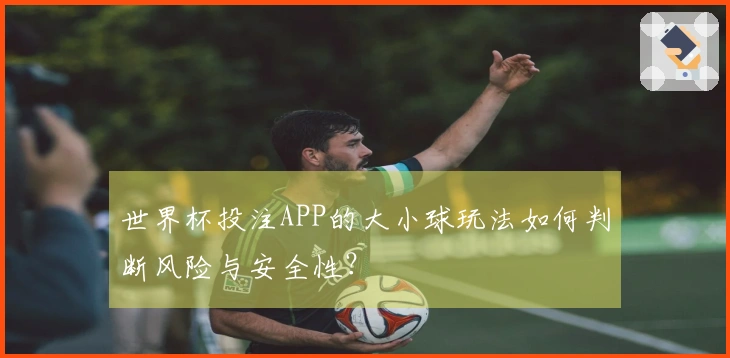 世界杯投注APP的大小球玩法如何判断风险与安全性？