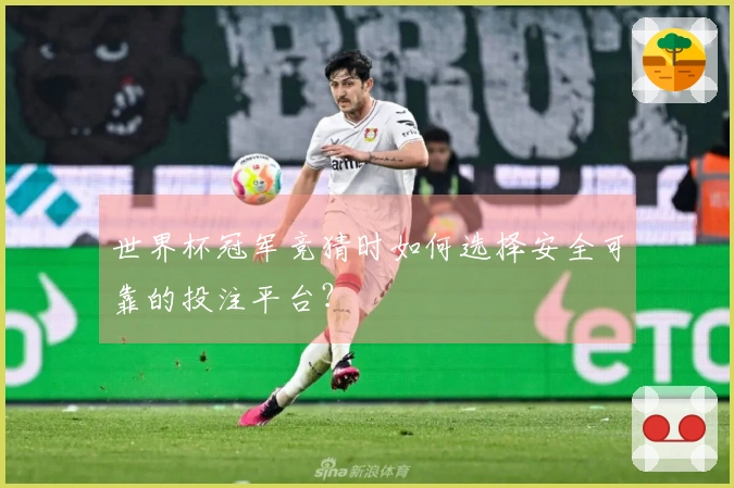 世界杯冠军竞猜时如何选择安全可靠的投注平台？