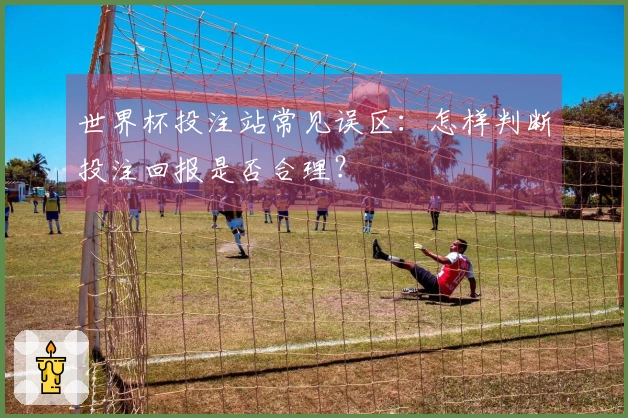 世界杯投注站常见误区：怎样判断投注回报是否合理？